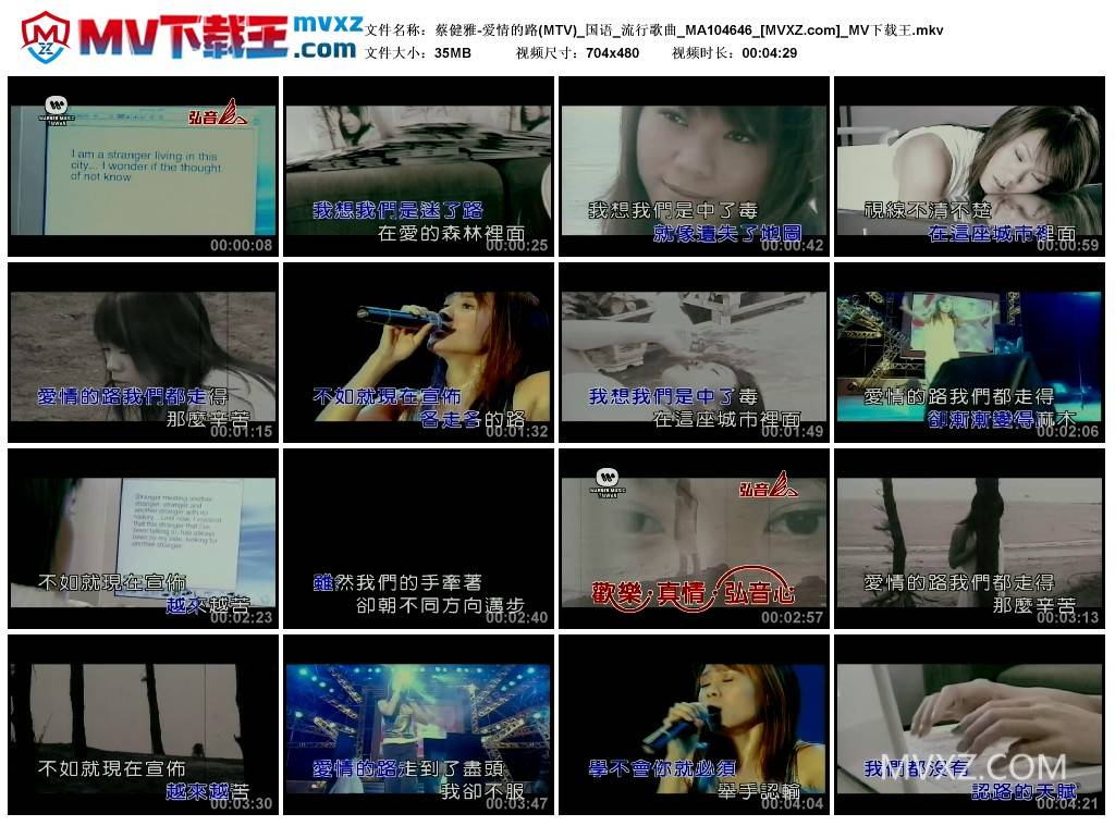 蔡健雅-爱情的路(MTV)_国语_流行歌曲_MA104646